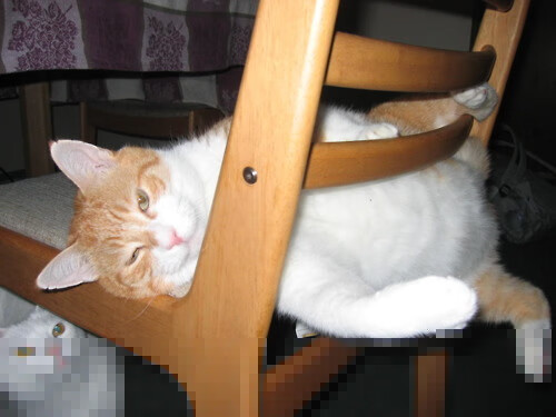 乐鱼体育app官方入口-“快艇冲浪：马鞍山赛场极速挑战点燃观众热情”