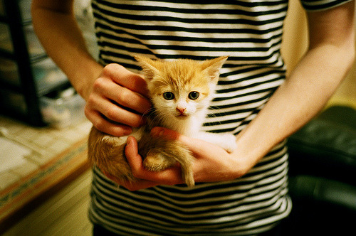 国家队实力提升困难，国家队改善