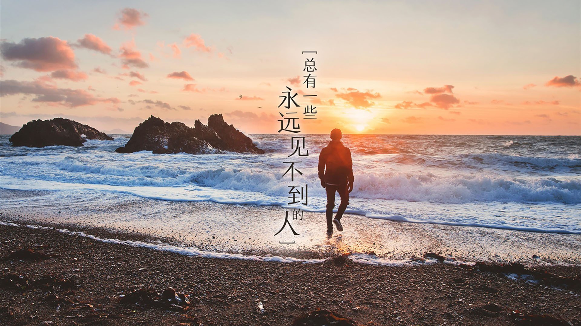 国际乒联混合团体世界杯:罗马尼亚队如何应对国际大赛压力,罗马尼亚乒乓球运动员男