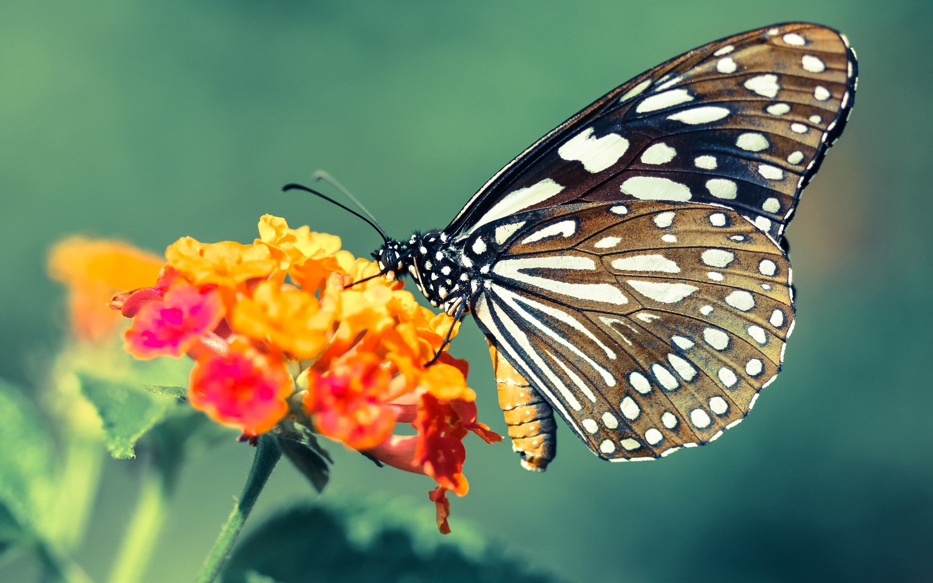 场馆设施智能化管理水平提升，智能场馆如何实现信息化