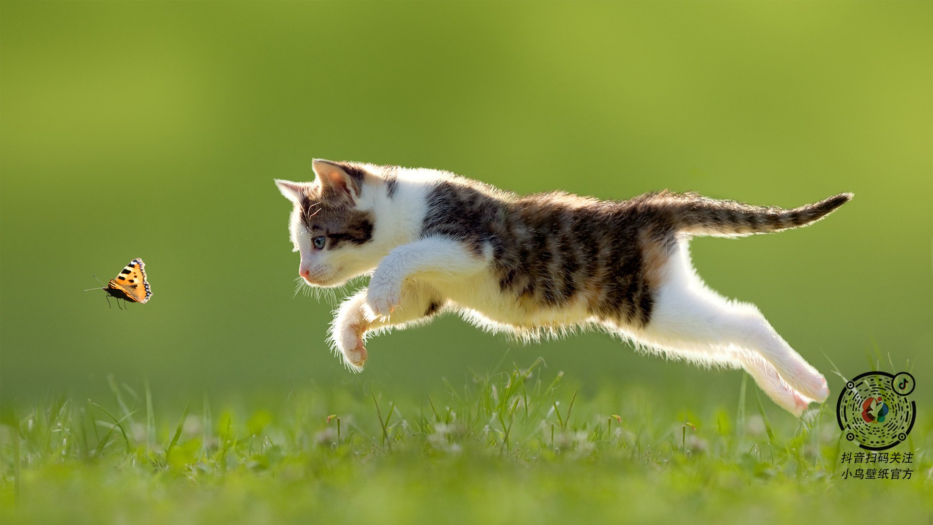 乐鱼体育app在线登录-广东队新星崭露头角多场比赛表现抢眼，广东队新赛季赛程公布