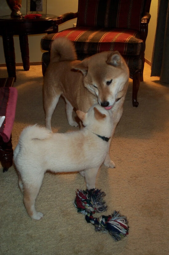 乐鱼体育在线入口-中国足球职业联赛多维度分析球员表现，中国足球联赛开始走向职业化