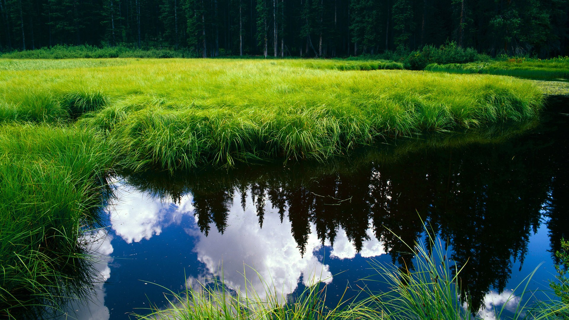 乐鱼体育在线登陆-出发与转身技术衔接变得更为流畅，出发与转身技术衔接变得更为流畅的成语