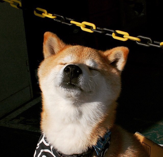 乐鱼体育网址入口-女子篮球训练注重防守协作提升防守水平，女子篮球防守视频